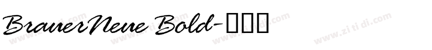 BrauerNeue Bold字体转换
